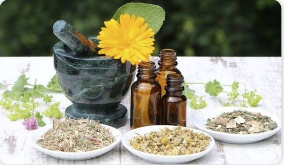 Phytotherapie / Pflanzenheilkunde