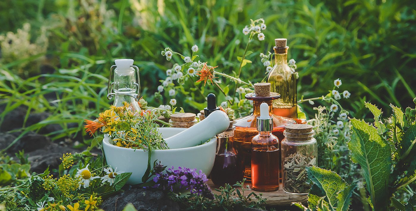 Phytotherapie / Pflanzenheilkunde